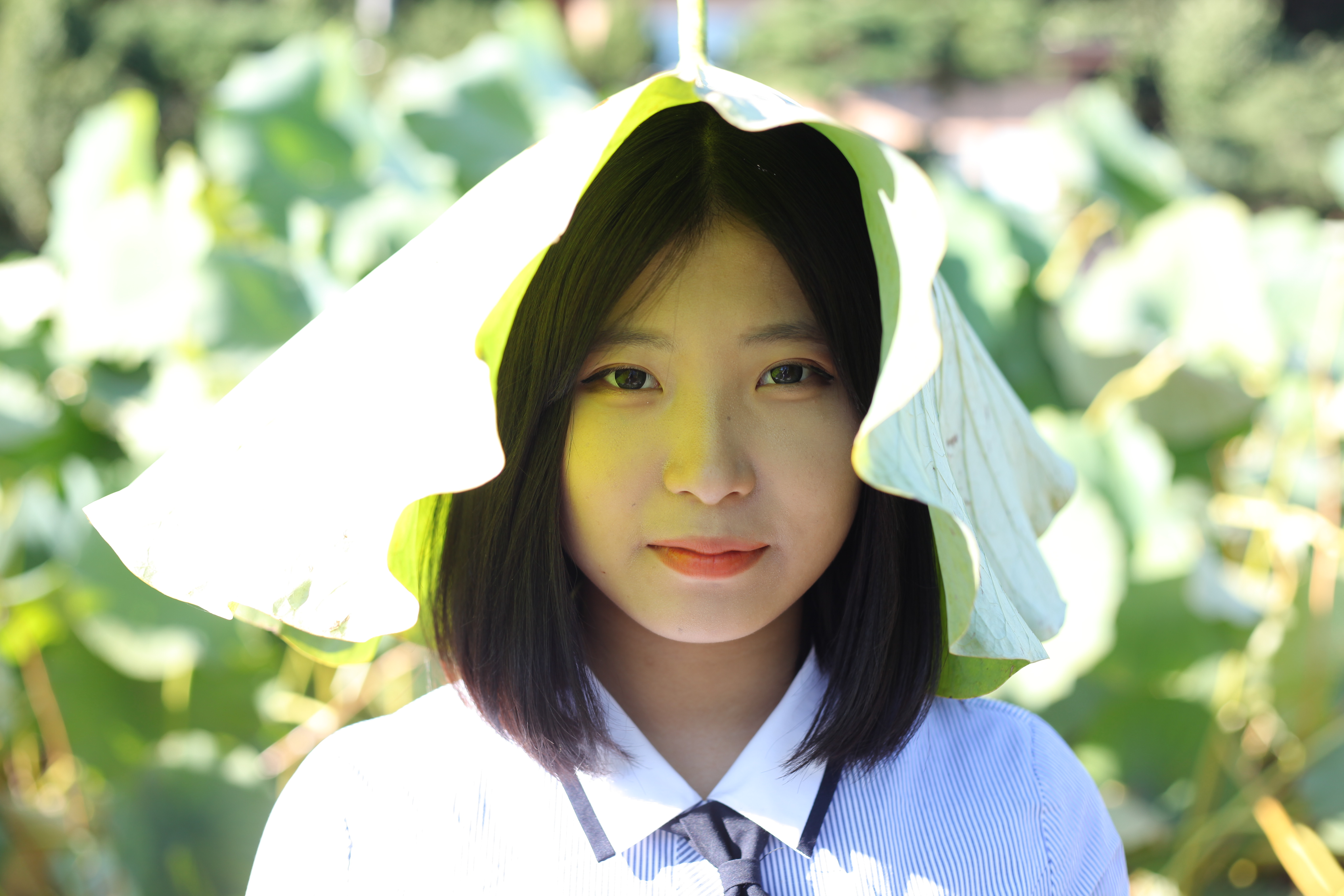 미분류 / 고아(희원) (782)s(2.26GB)